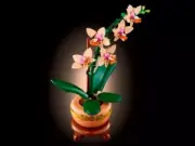 Lego 10343 Mini Orchid (Мини-орхидея)