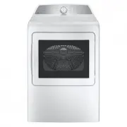 GE PTD60EBSRWS