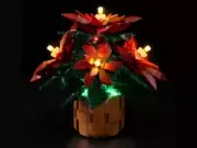 Lego 10370 Poinsettia (Пуансеттия)