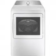 GE PTD60GBSRWS