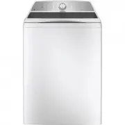 GE PTW600BSRWS