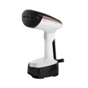Tefal Access Steam Pocket DT3030E0