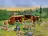 Lego 42624 Adventure Camp Cozy Cabins (Уютные домики в летнем лагере)